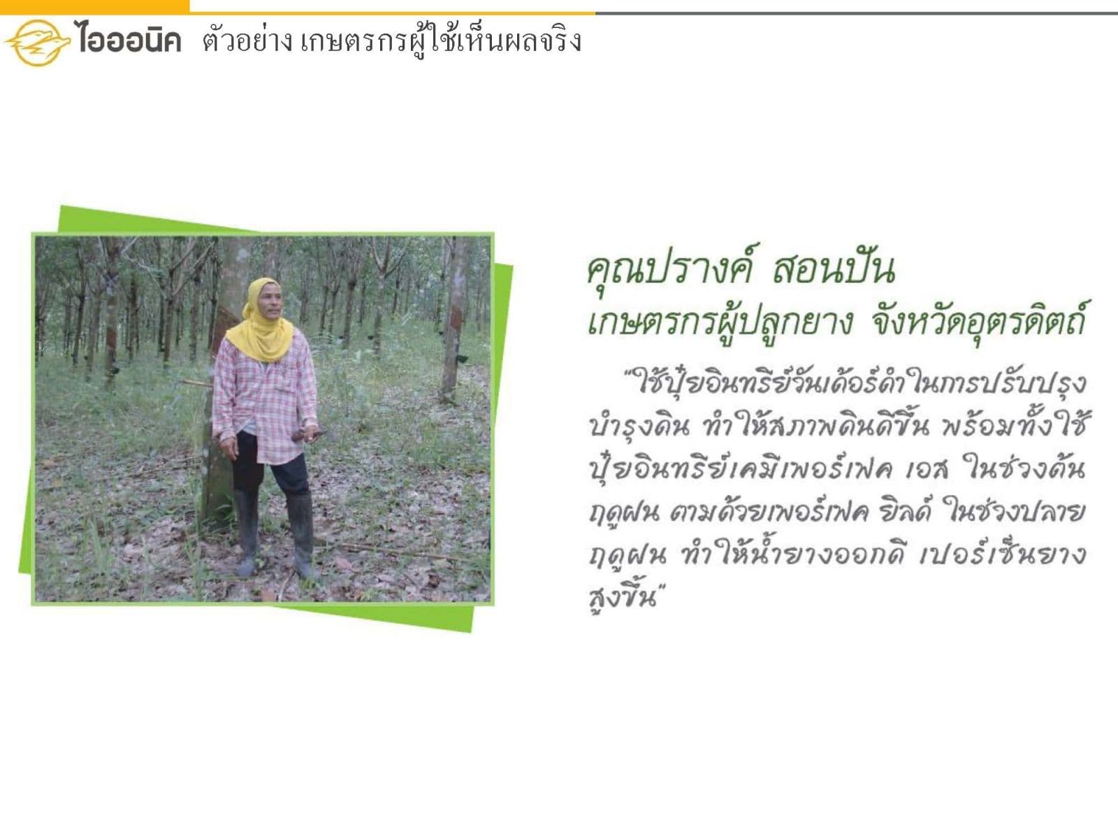 ยางพาราของคุณปรางค์ สอนปั้น